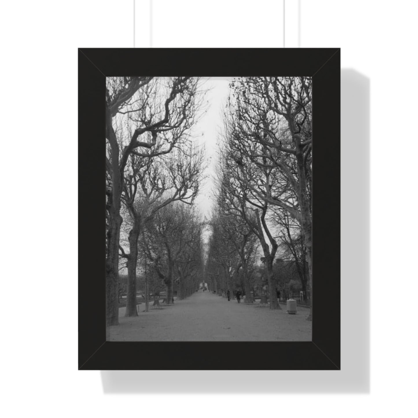 Paris Pathway Black and White Wall Art | Framed Canvas Print | Wall Print