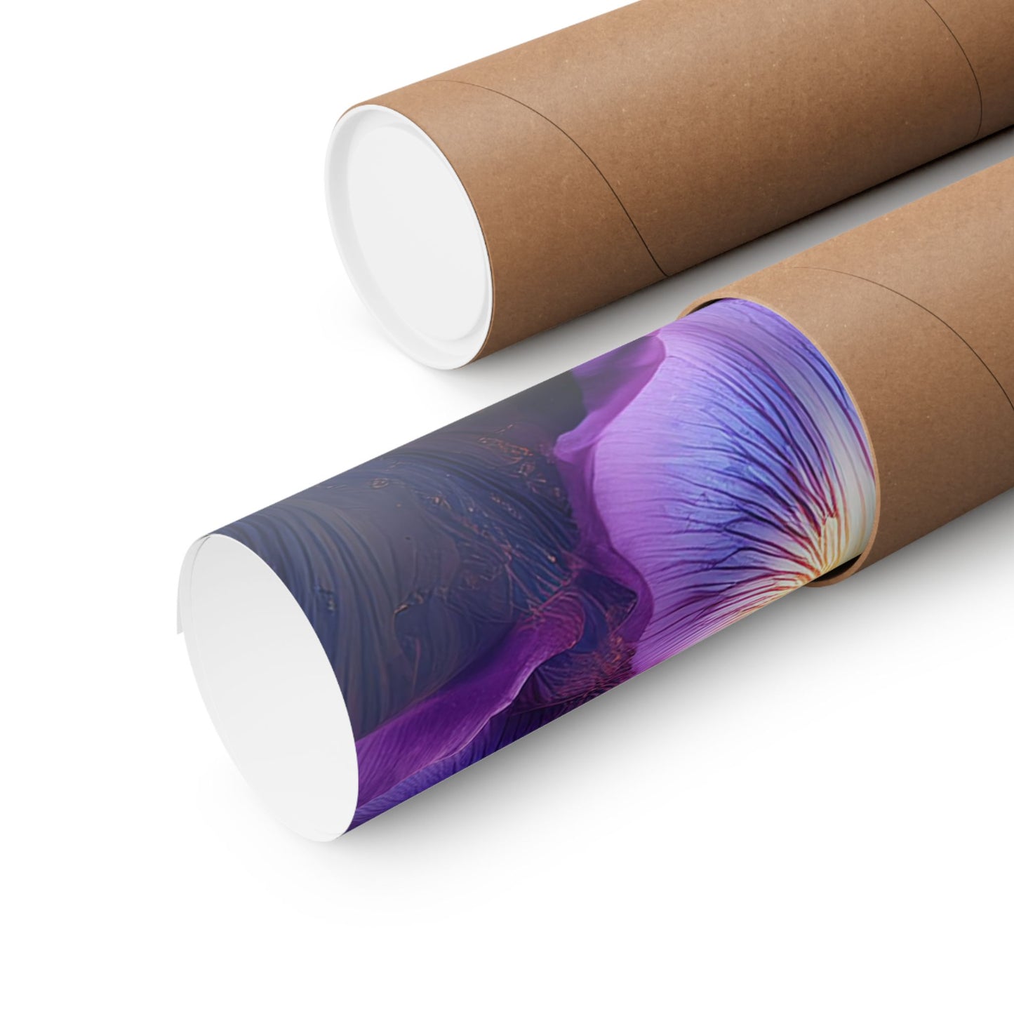 Abstract Floral Iris Wall Art Print | Style 4 | Wall Print | Botanical Wall Art