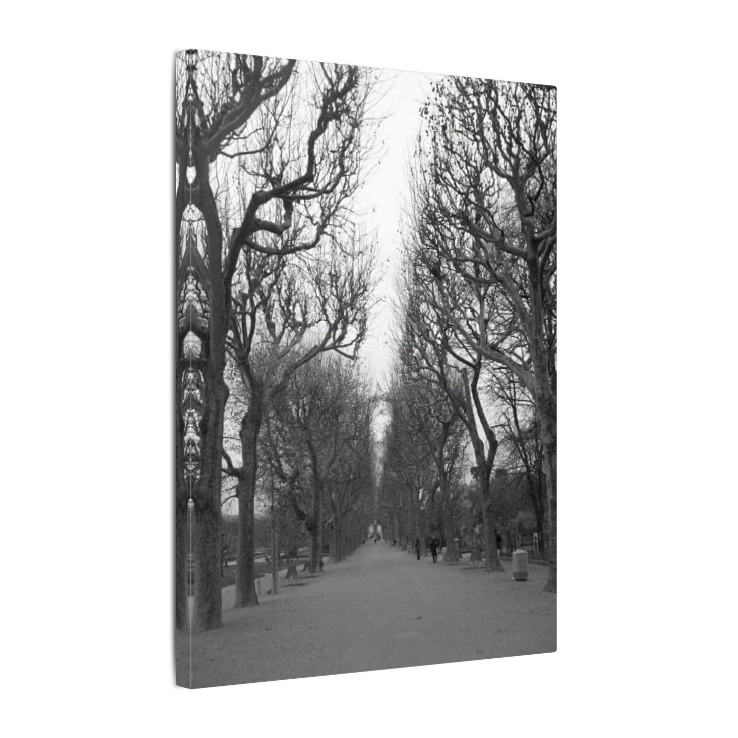 Paris Pathway Canvas Art Print - Black and White Tree Wall Print | Wall Art | Wall Print