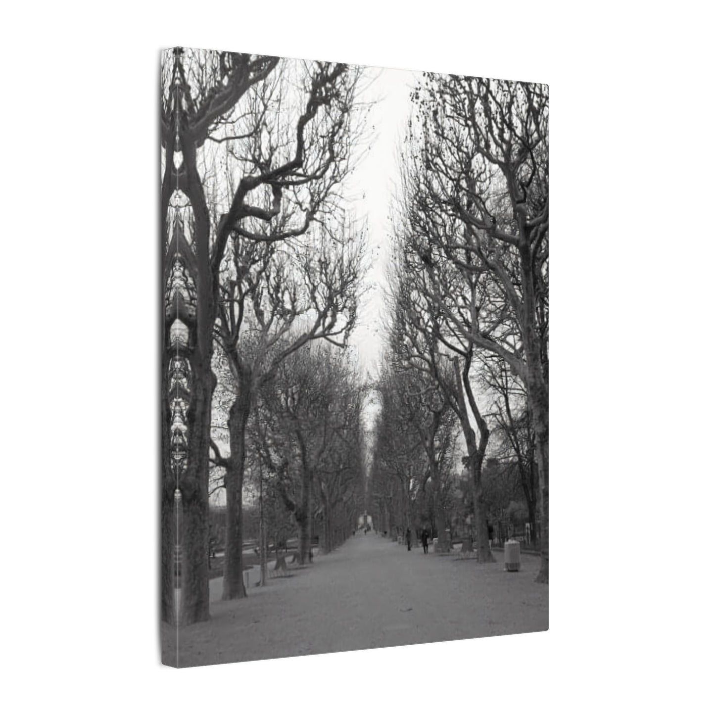 Paris Pathway Canvas Art Print - Black and White Tree Wall Print | Wall Art | Wall Print