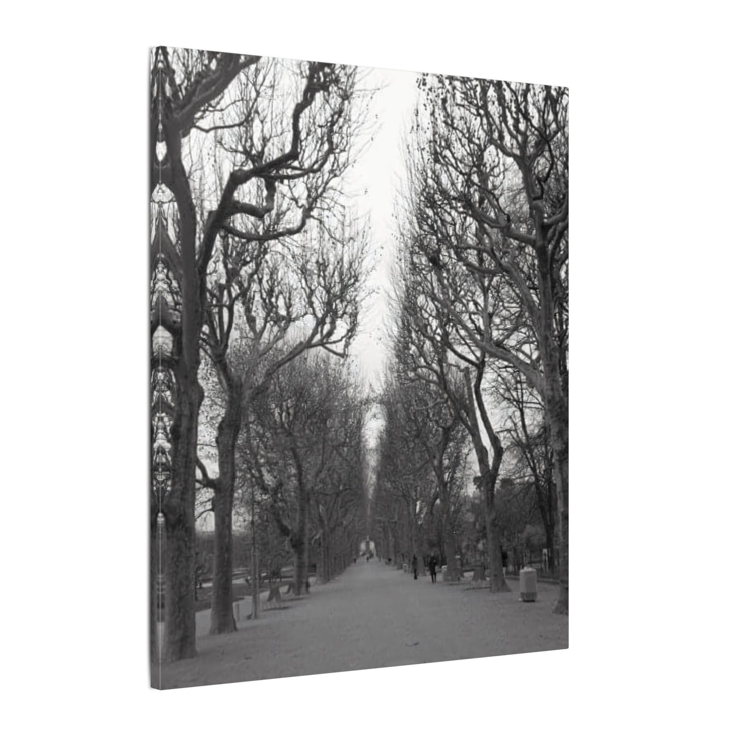 Paris Pathway Canvas Art Print - Black and White Tree Wall Print | Wall Art | Wall Print