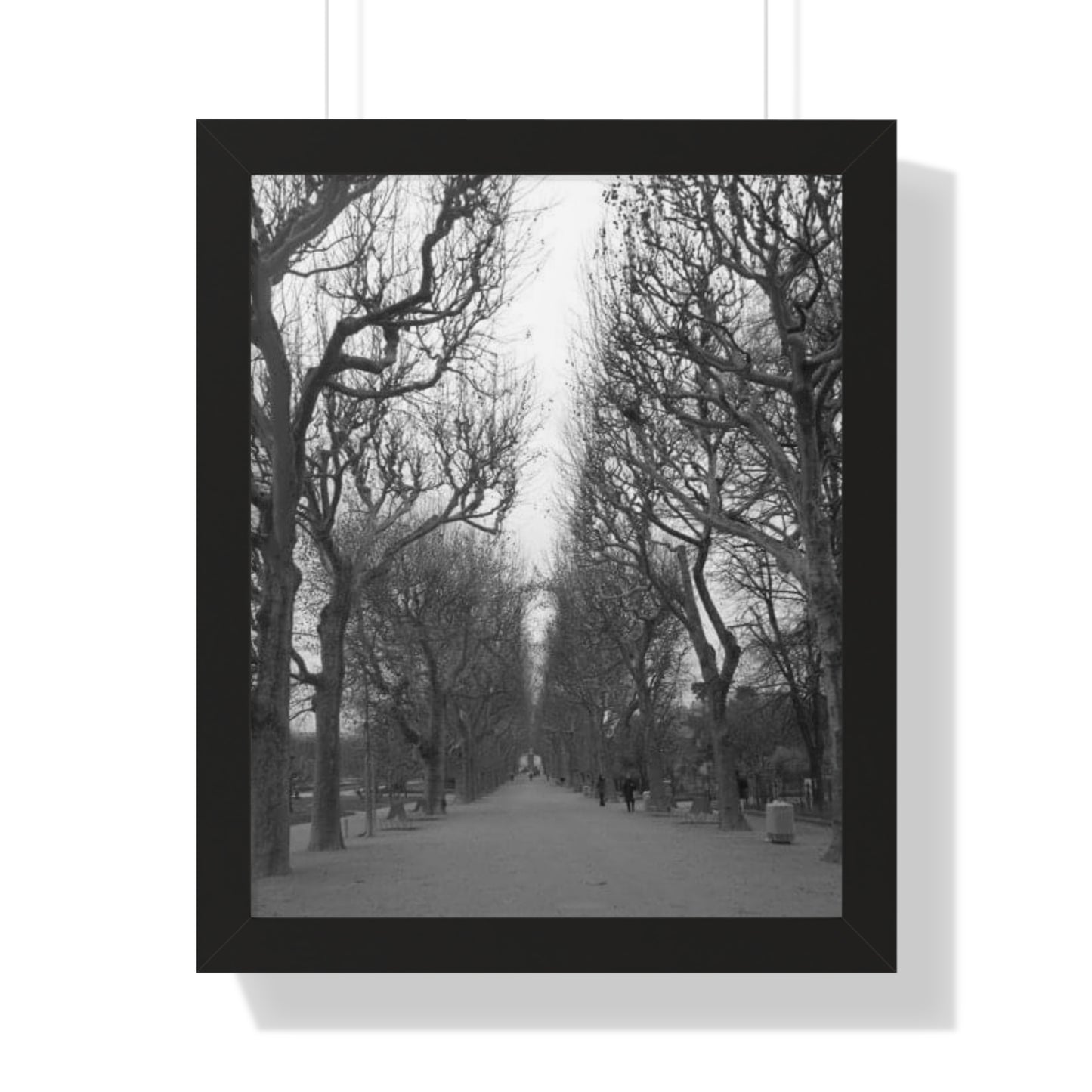 Paris Pathway Black and White Wall Art | Framed Canvas Print | Wall Print