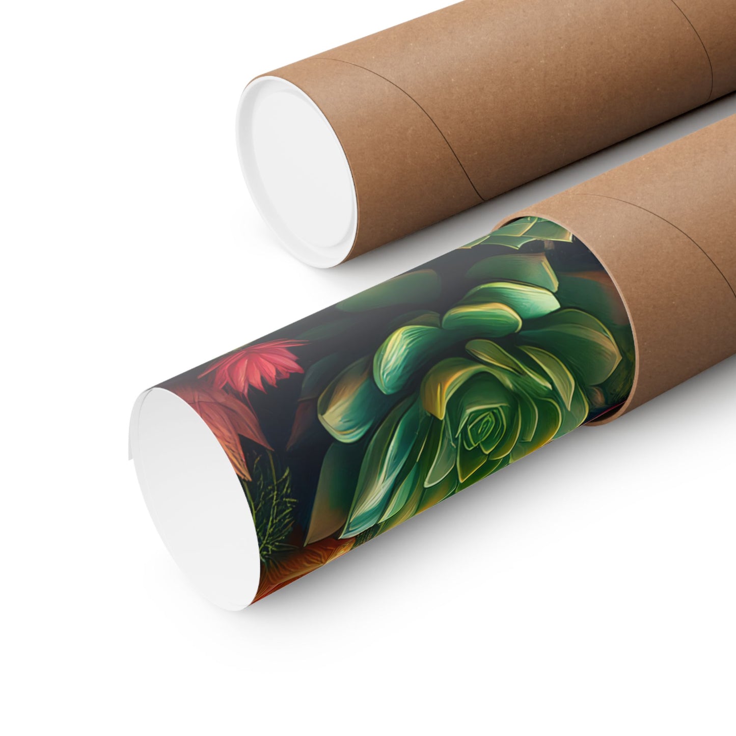 Abstract Cacti and Succulent Desert Garden Color Print | Wall Art | Wall Print