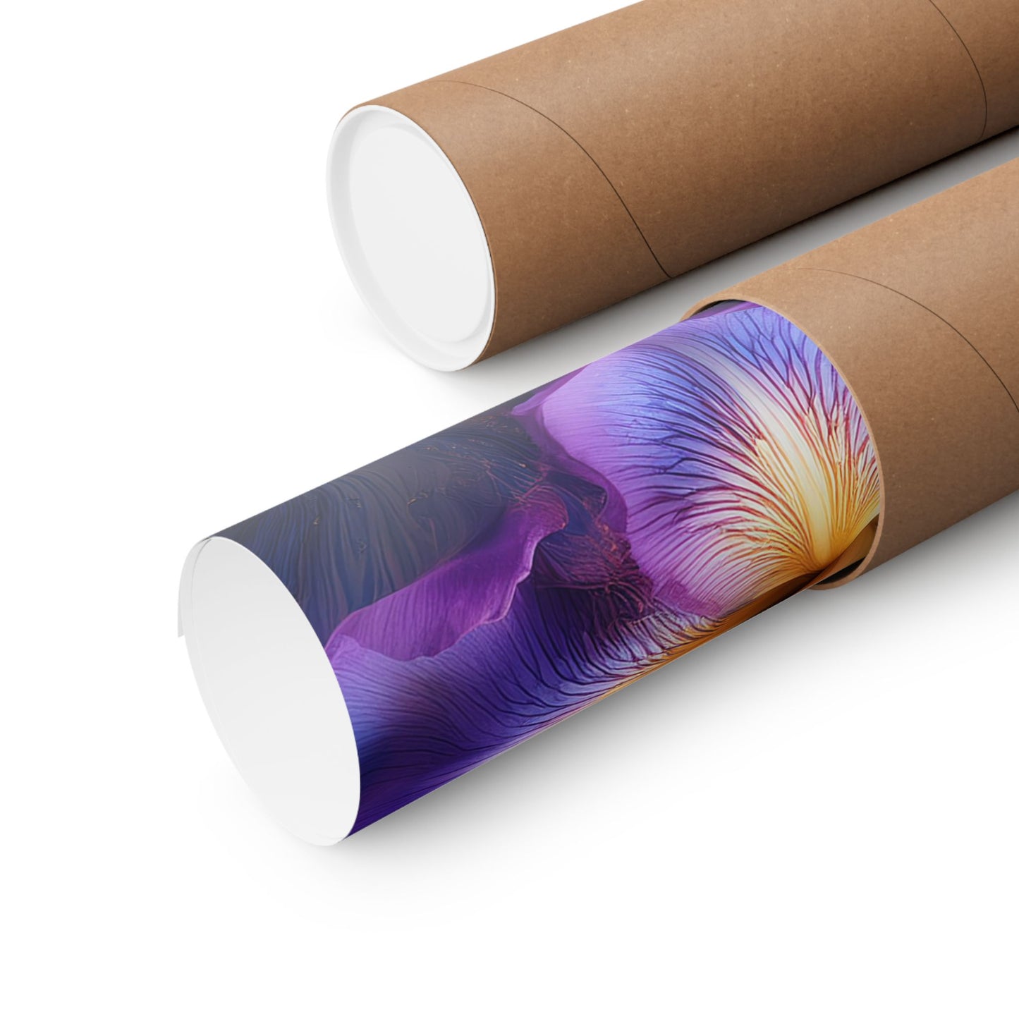 Abstract Floral Iris Wall Art Print | Style 4 | Wall Print | Botanical Wall Art