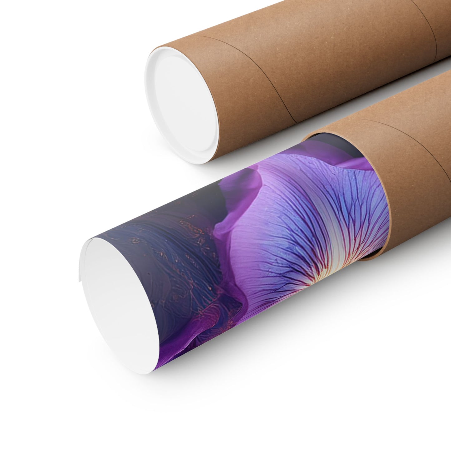 Abstract Floral Iris Wall Art Print | Style 4 | Wall Print | Botanical Wall Art