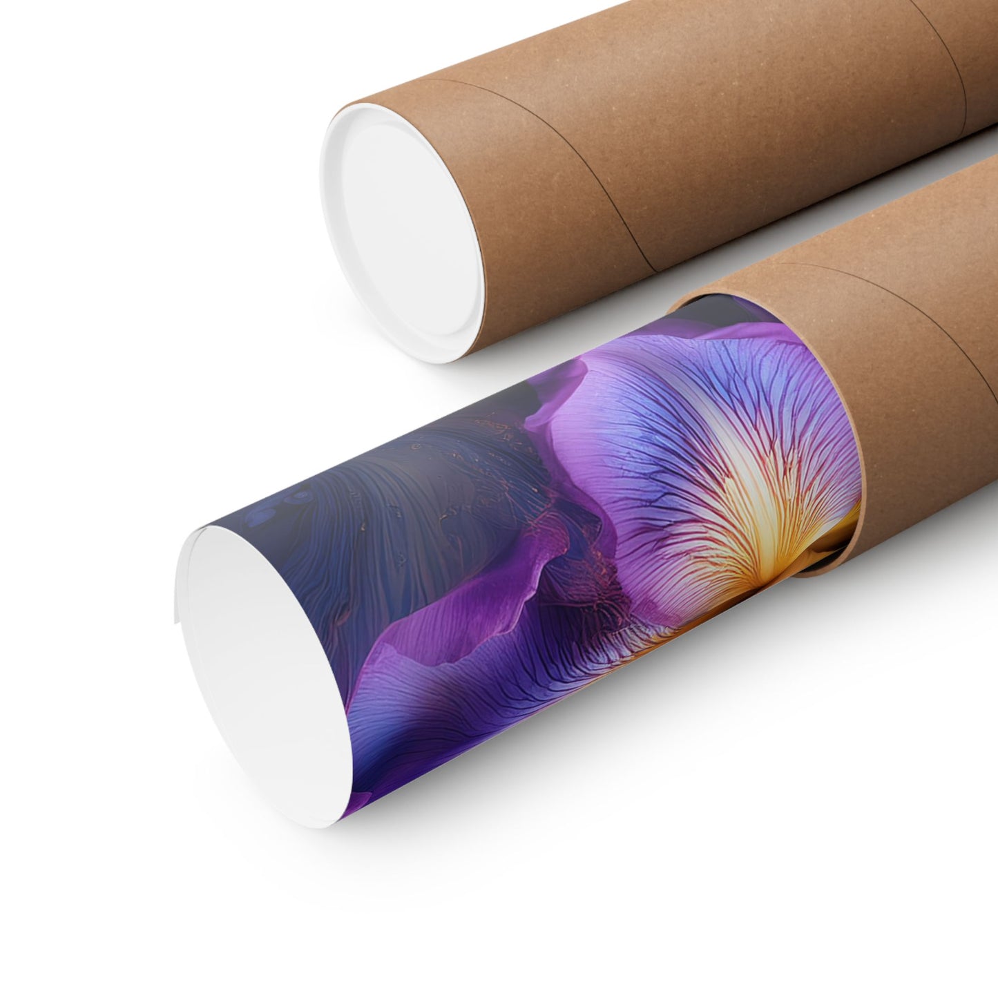 Abstract Floral Iris Wall Art Print | Style 4 | Wall Print | Botanical Wall Art