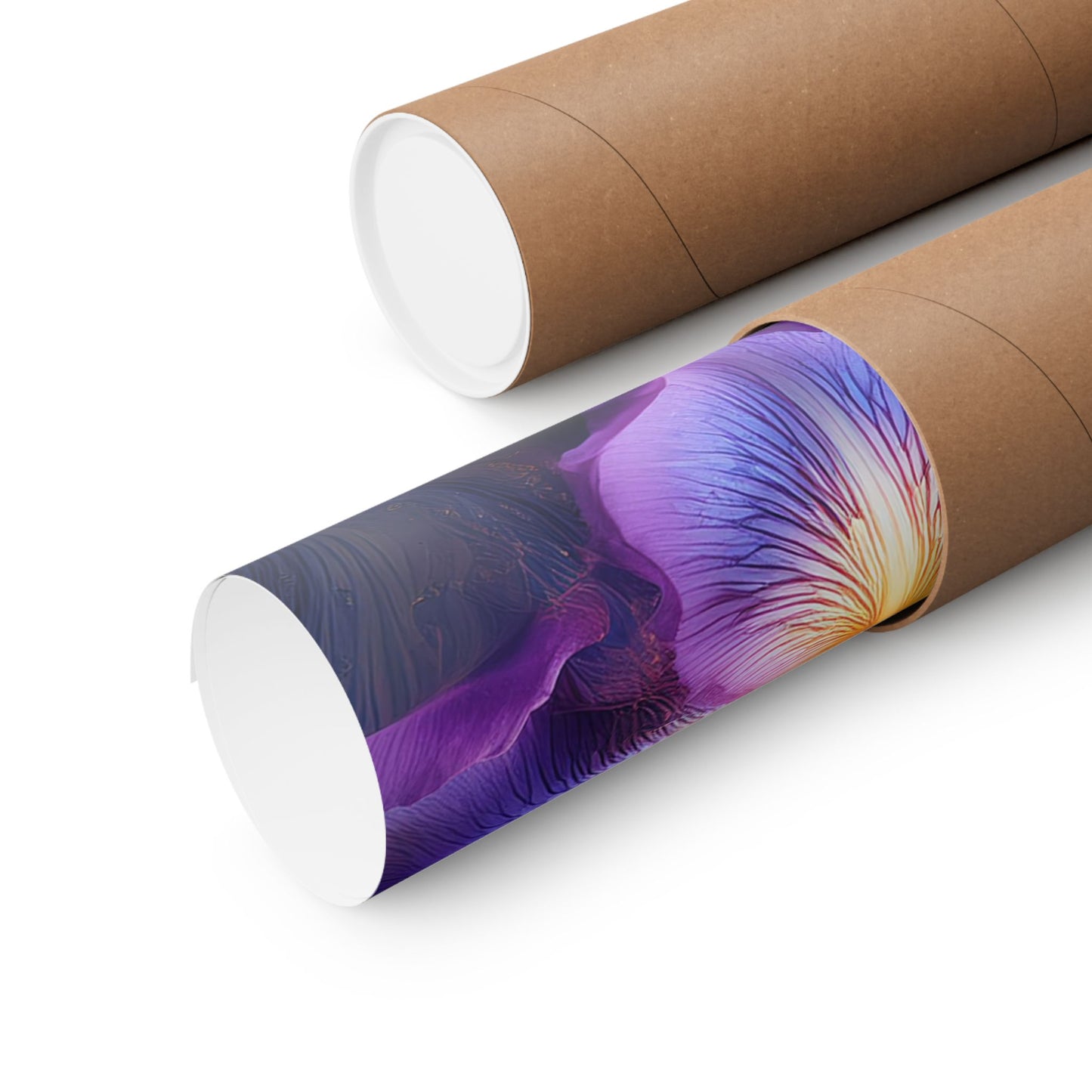 Abstract Floral Iris Wall Art Print | Style 4 | Wall Print | Botanical Wall Art