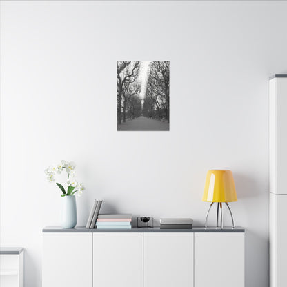 Paris Pathway Canvas Art  Print - Black and White Tree Wall Print | Wall Art | Wall Print