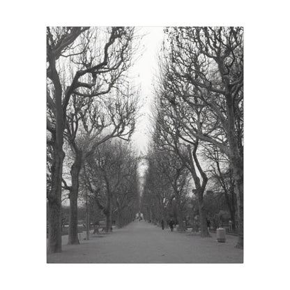 Paris Pathway Canvas Art  Print - Black and White Tree Wall Print | Wall Art | Wall Print