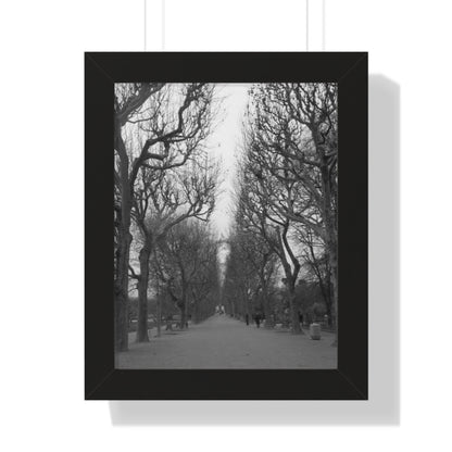 Paris Pathway Black and White Wall Art | Framed Canvas Print | Wall Print