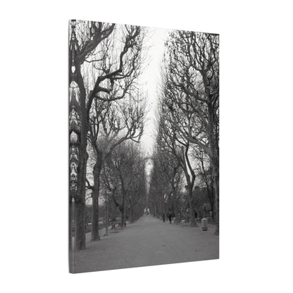 Paris Pathway Canvas Art  Print - Black and White Tree Wall Print | Wall Art | Wall Print