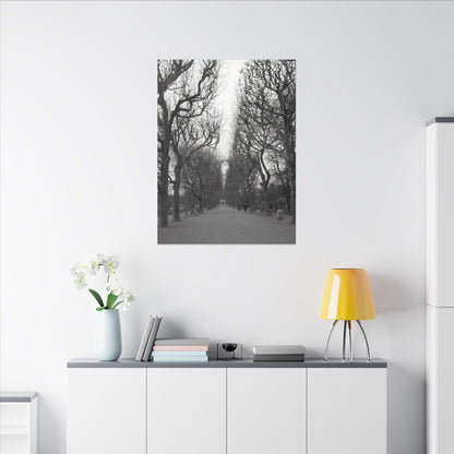 Paris Pathway Canvas Art  Print - Black and White Tree Wall Print | Wall Art | Wall Print