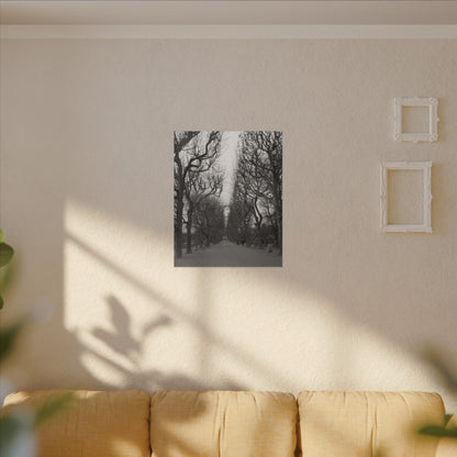 Paris Pathway Canvas Art  Print - Black and White Tree Wall Print | Wall Art | Wall Print