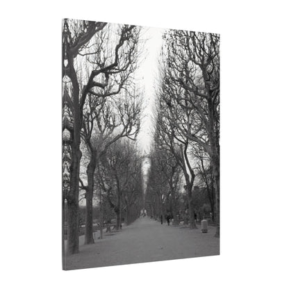 Paris Pathway Canvas Art  Print - Black and White Tree Wall Print | Wall Art | Wall Print