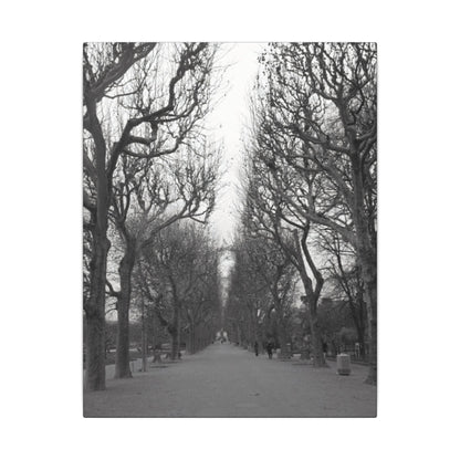 Paris Pathway Canvas Art  Print - Black and White Tree Wall Print | Wall Art | Wall Print