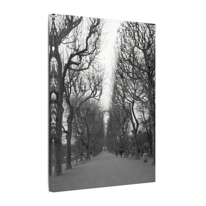 Paris Pathway Canvas Art  Print - Black and White Tree Wall Print | Wall Art | Wall Print