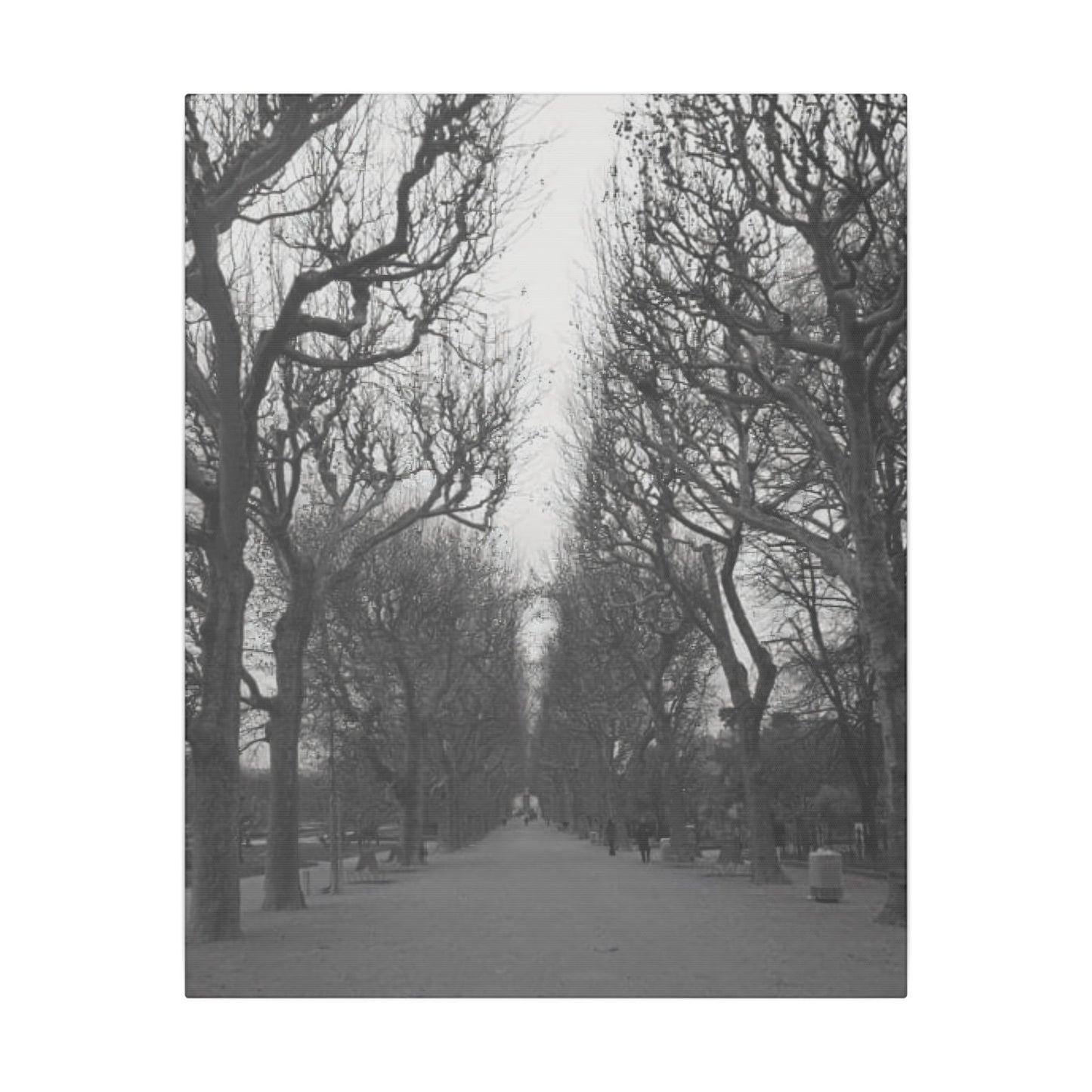 Paris Pathway Canvas Art - Black and White Tree on Canvas | Parisian Decor | Wall Print | Wall Art