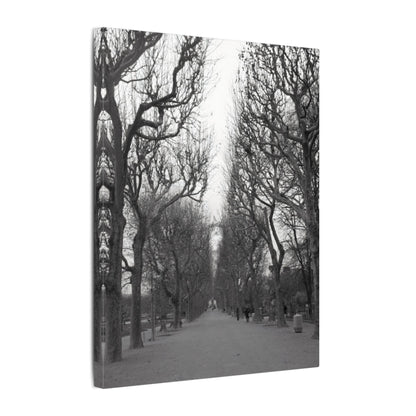 Paris Pathway Canvas Art  Print - Black and White Tree Wall Print | Wall Art | Wall Print