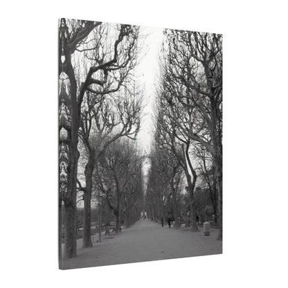Paris Pathway Canvas Art  Print - Black and White Tree Wall Print | Wall Art | Wall Print