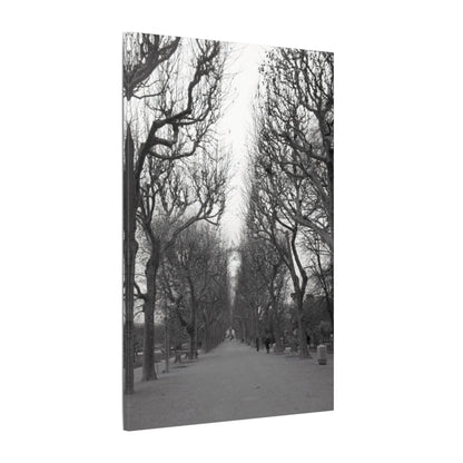 Paris Pathway Canvas Art  Print - Black and White Tree Wall Print | Wall Art | Wall Print