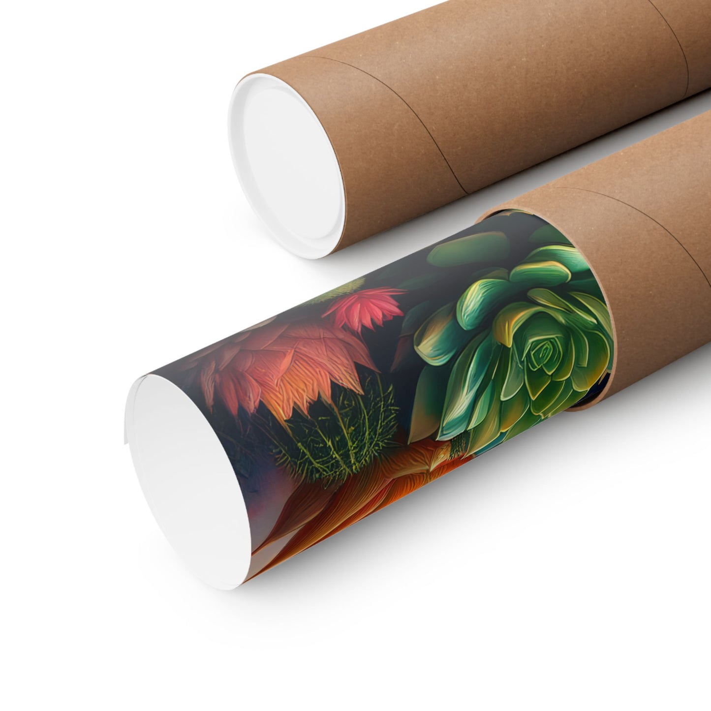 Abstract Cacti and Succulent Desert Garden Color Print | Wall Art | Wall Print