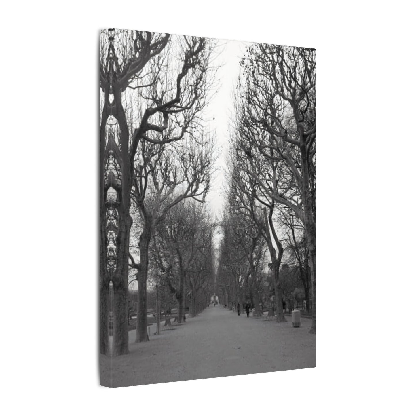Paris Pathway Canvas Art  Print - Black and White Tree Wall Print | Wall Art | Wall Print