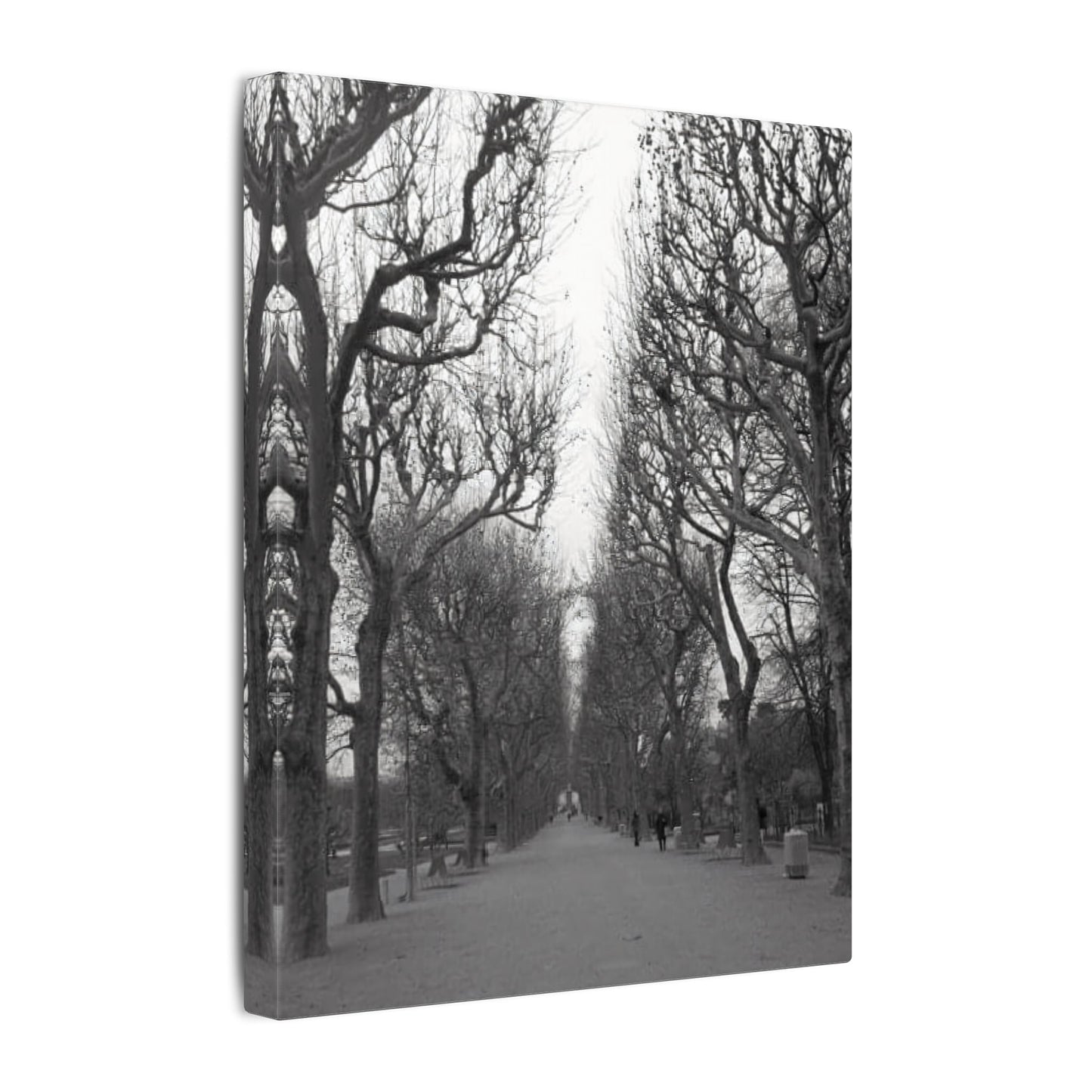 Paris Pathway Canvas Art  Print - Black and White Tree Wall Print | Wall Art | Wall Print
