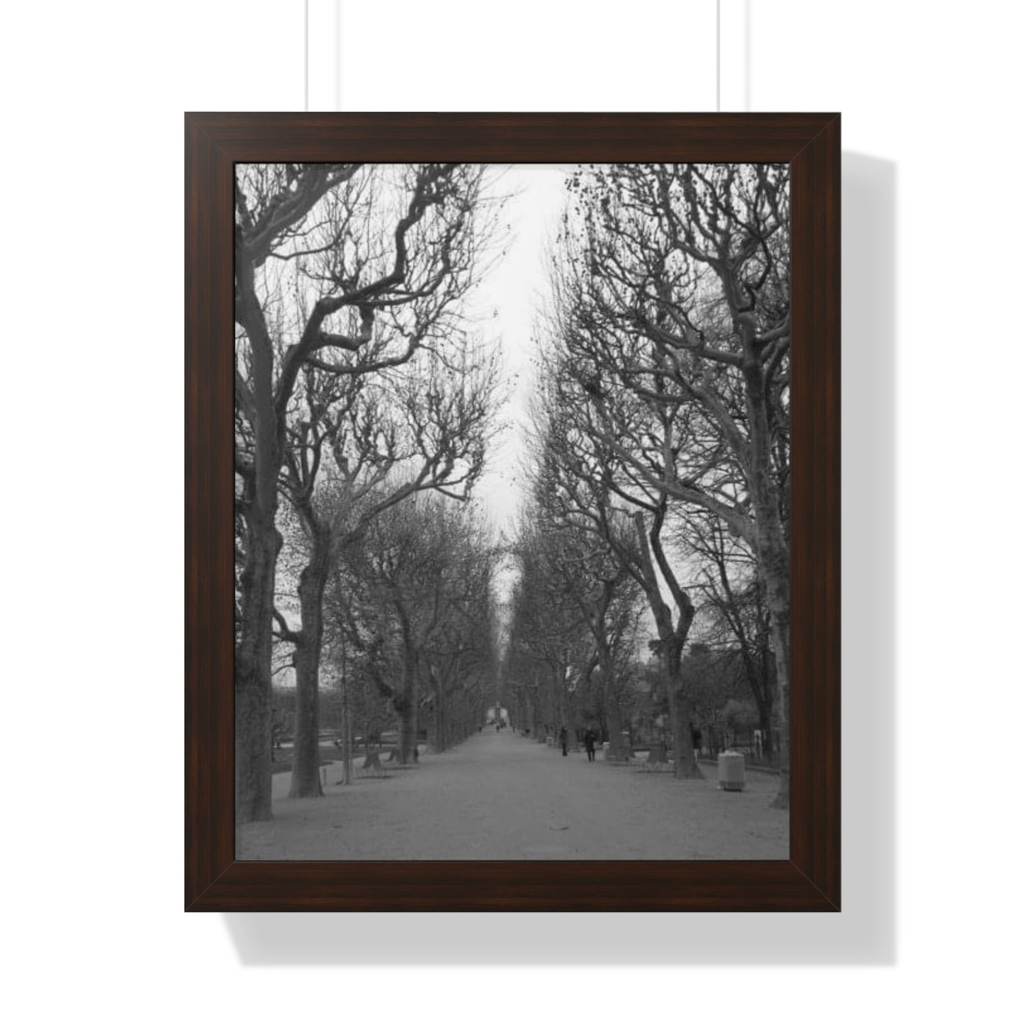 Paris Pathway Black and White Wall Art | Framed Canvas Print | Wall Print