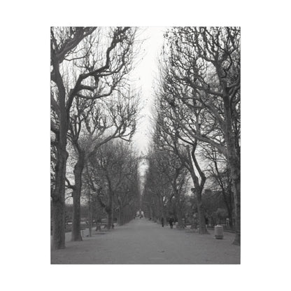 Paris Pathway Canvas Art  Print - Black and White Tree Wall Print | Wall Art | Wall Print