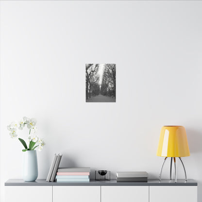 Paris Pathway Canvas Art  Print - Black and White Tree Wall Print | Wall Art | Wall Print