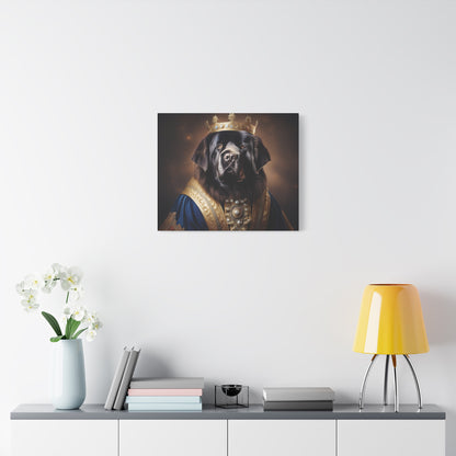 Newfoundland Renaissance Pet Portrait on Canvas | wall art | wall print