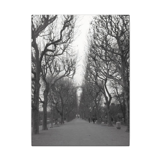 Paris Pathway Canvas Art - Black and White Tree on Canvas | Parisian Decor | Wall Print | Wall Art