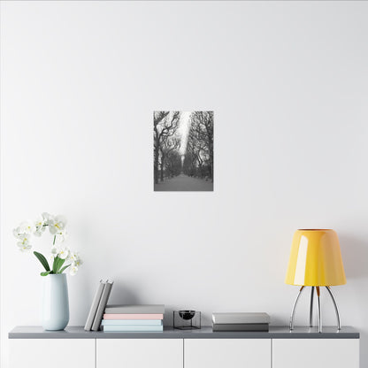Paris Pathway Canvas Art  Print - Black and White Tree Wall Print | Wall Art | Wall Print