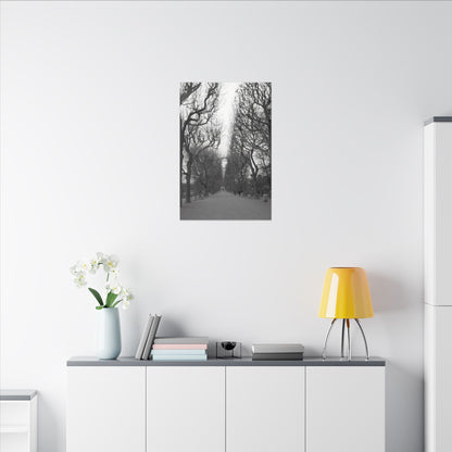 Paris Pathway Canvas Art  Print - Black and White Tree Wall Print | Wall Art | Wall Print