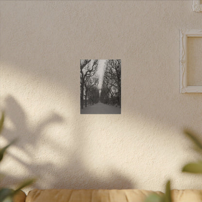 Paris Pathway Canvas Art  Print - Black and White Tree Wall Print | Wall Art | Wall Print
