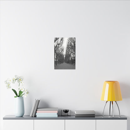 Paris Pathway Canvas Art  Print - Black and White Tree Wall Print | Wall Art | Wall Print