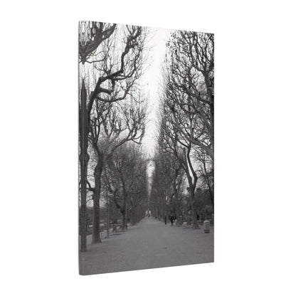 Paris Pathway Canvas Art  Print - Black and White Tree Wall Print | Wall Art | Wall Print