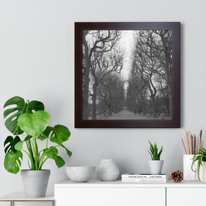 Paris Pathway Black and White Wall Art | Framed Canvas Print | Wall Print