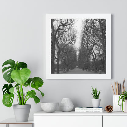 Paris Pathway Black and White Wall Art | Framed Canvas Print | Wall Print