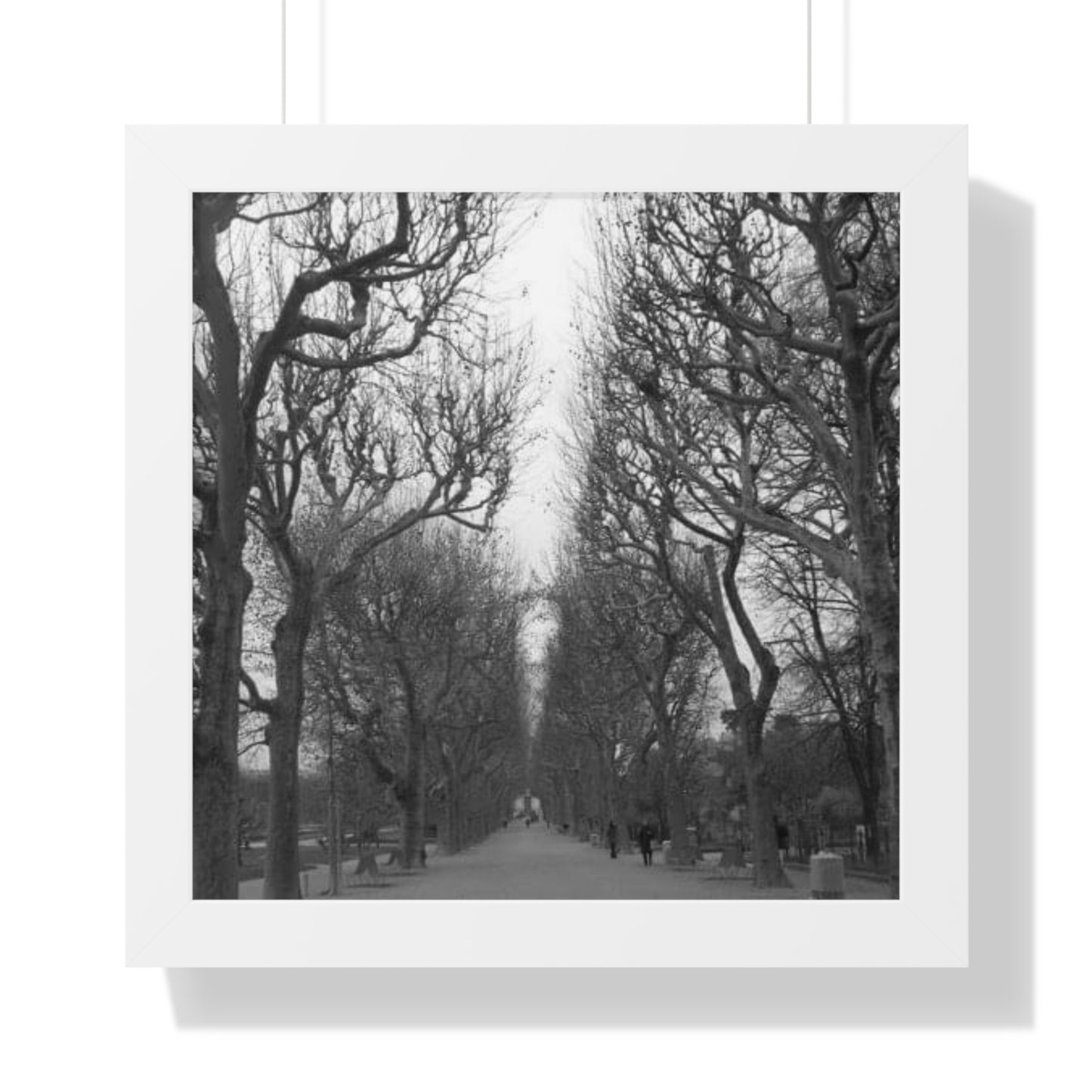 Paris Pathway Black and White Wall Art | Framed Canvas Print | Wall Print