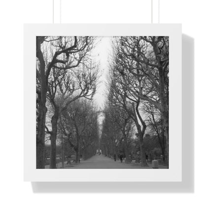 Paris Pathway Black and White Wall Art | Framed Canvas Print | Wall Print