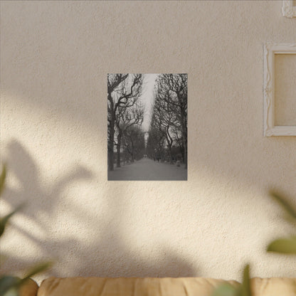 Paris Pathway Canvas Art  Print - Black and White Tree Wall Print | Wall Art | Wall Print