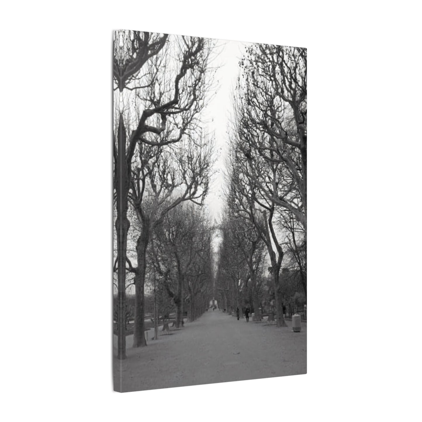 Paris Pathway Canvas Art  Print - Black and White Tree Wall Print | Wall Art | Wall Print