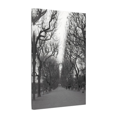 Paris Pathway Canvas Art  Print - Black and White Tree Wall Print | Wall Art | Wall Print