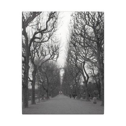 Paris Pathway Canvas Art  Print - Black and White Tree Wall Print | Wall Art | Wall Print